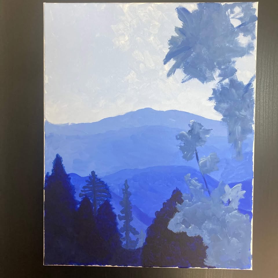 Mountain View - Acrylic Painting